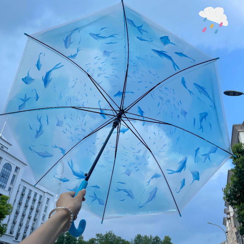 Przezroczysty parasol z meduzą – Photography Gear recenzja i cena