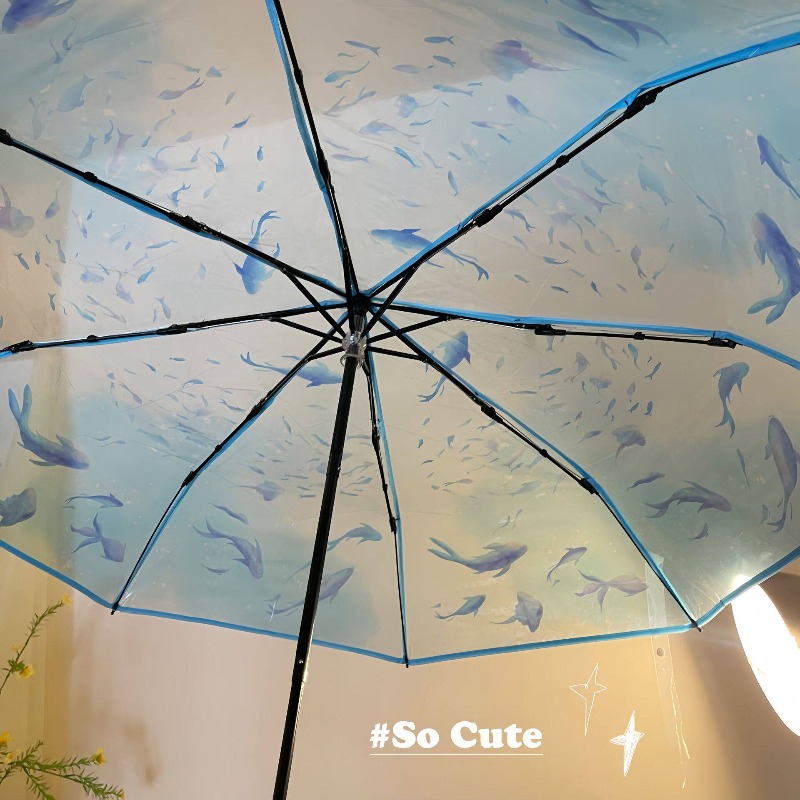 Przezroczysty parasol z meduzą – Photography Gear recenzja i cena